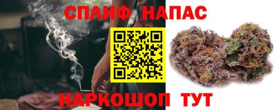 мдпв Можайск
