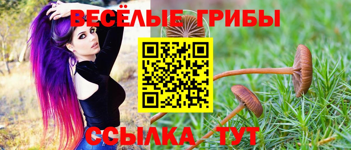 Галлюциногенные грибы мухоморы  купить   Рославль  Псилоцибиновые грибы Magic Shrooms  Вход с VPN 