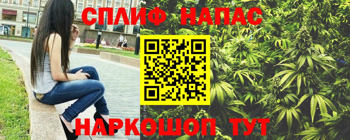 Канабис OG Kush Рославль